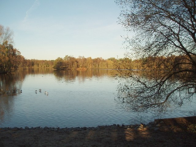 Ian Warburton / South End of Shakerley Mere